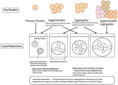 Nanomedicine: Principles, Properties, and Regulatory Issues